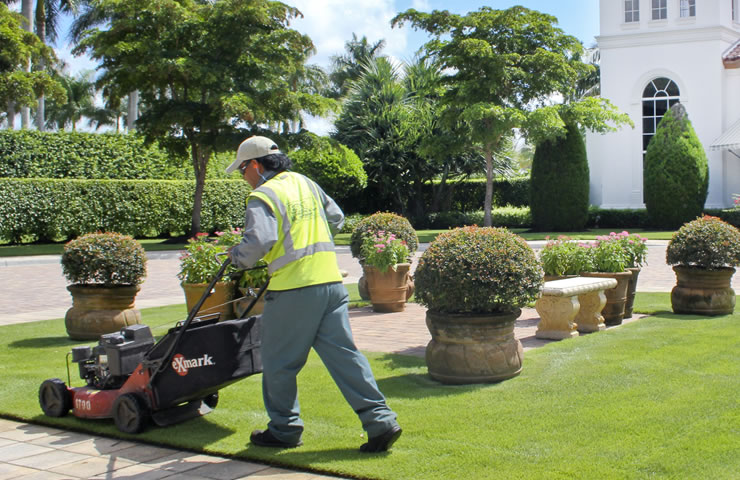 estate mowing the grass