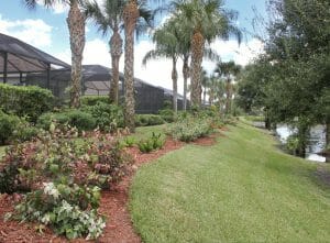 Mulching Your Commercial Property