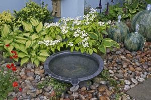 Enhance Your Landscape: Creative Ideas for Outdoor Beauty