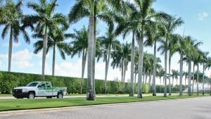 A Journey of Growth and Excellence in Landscape Services